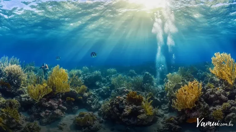 Destinos de mergulho no Caribe: explore os corais